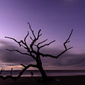 Moon Setting on Boneyard Beach